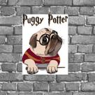 Placa Decorativa Pug Potter 18x27cm