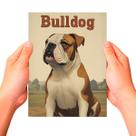 Placa Decorativa Raças Cachorro Vintage Bulldog Inglês Cor: Sortido