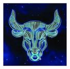 Placa Decorativa Signo Touro 20x30cm