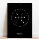 Placa Decorativa Signos Peixes