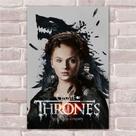 Placa Decorativa - tema Game Of Thrones - 28x20 cm