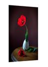 Placa decorativa - vaso tulipa vermelha flores