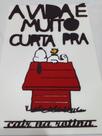 Placa Decorativas