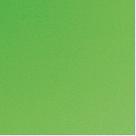 Placa em EVA 48X40CM Verde Grama 1,6MM - Pacote com 10 Folhas