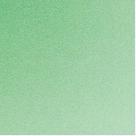 Placa em EVA 60X40CM Verde Claro 1,6MM PCT com 10
