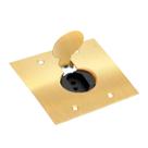 Placa / Espelho de Piso 4x2 Latão 1 Tomada + Tomada Piso 20A