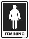 Placa Feminino PS65 15X20