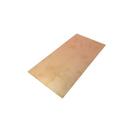 Placa fenolite 10x25 virgem