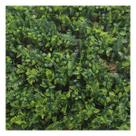 Placa Grama Artificial Vertical Jardim Folhas Mistas 40x60cm