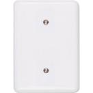 Placa Ilumi Styllus 4X2 (Cega) 2054