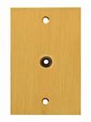 Placa latao 4x2 c/furo - olivo