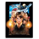 Placa Mdf 30 Cm X 20 Cm - Harry Potter (Bd63)