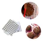 Placa Porcionadora 13g Brigadeiros - 50 Cavidades Caparroz (POLIETILENO) 3PÇS 28cmx21cmx2cm