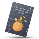 Placa Quadro Metal Decora Quarto Infantil Pequeno Príncipe