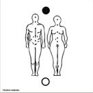 Placa Radiônica Figura Humana Casal em PVC 17x17 cm e 19x19 cm Placa Radiônica Figura Humana Casal em PVC 17x17 cm e 19x19 cm