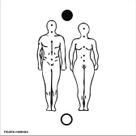 Placa Radiônica Figura Humana Casal em PVC 24x24 cm - Gráfico Energético Placa Radiônica Figura Humana Casal em PVC 24x24 cm - Gráfico Energético