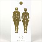 Placa radiônica figura humana - radiestesia