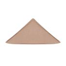 Placa Sacral Triangulo S.Rigida Cirurgica 4003T Biosafe
