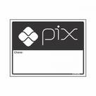 Placa Sinalizacao Poliestireno 15X20 ''Senha Pix'' 220Cd