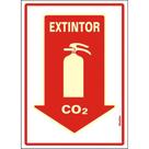 Placa Sinalizacao Pvc 20X30 ''Extintor Co2'' Fluorescente 250Bs