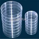 Placas de petri 90mm x 15mm PS Lisa - Pct c/10 unidades