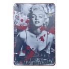 Placas em Metal 20 x 30 cm diversos modelos