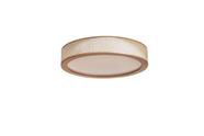 Plafon apollo led integrado