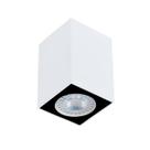 Plafon Cube 1XPar20 Branco Fundo Preto - Newline - PL03011BTPT