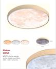 Plafon Tupiara Luna C/acr 15w Br My271