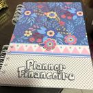 Planner financeiro