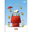Planner Grampeado 178 x 254 cm Snoopy 90 G 2027 Sortido