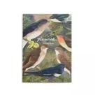 Planner semanal emilio goeldi andorinhas