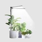 Plant Grow Light contém 6000K, LEDs brancos e vermelhos de espectro total