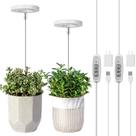 Plant Grow Light LORDEM Full Spectrum LED para plantas de interior