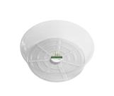 Plant Saucer Crescent Too 12" Clear