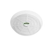 Plant Saucer Crescent Too 30 cm Clear Round 5 cm H