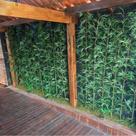 Planta 16 haste de bambu artificial 1.80 mts Planta 16 haste de bambu artificial 1.80 mts