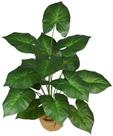 Planta Alocásia 18 Folhas 100cm Verde Permanente Decor
