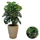 Planta Artifical Costela De Adão +vaso Polietileno Completo -