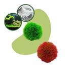 Planta artificial aquário Marimo Ball 8 cm kit 2 variado