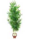 Planta Artificial Árvore BAMBU JAPONÊS 1,30 metros de altura
