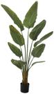 Planta Artificial Arvore Bananeira De Jardim Real Toque Uv C/Pote X10 Verde 1,6m