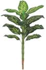 Planta Artificial Arvore C.N.P Real Toque X18 Verde Creme 1,5m Planta Artificial Arvore C.N.P Real Toque X18 Verde Creme 1,5m