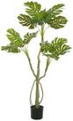 Planta Artificial Arvore Costela De Adão Real Toque Pu C/Pote X14 Verde 1,4cm