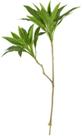Planta Artificial Arvore Dracena Real Toque X30 Verde 1,10cm