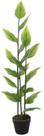 Planta Artificial Arvore Hosta Real Toque C/Pote X19 Verde Creme 1,2m Planta Artificial Arvore Hosta Real Toque C/Pote X19 Verde Creme 1,2m