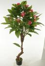 Planta Artificial Arvore Plumeria Real Toque C/Pote X14 Rosa 1,40m