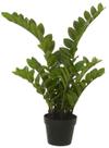 Planta Artificial Arvore Zamioculca Real Toque C/Pote X132 Verde 75cm