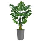 Planta artificial ASTIDY Monstera Deliciosa 150cm com floreira Planta artificial ASTIDY Monstera Deliciosa 150cm com floreira