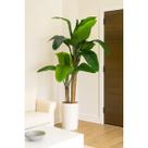 Planta Artificial Bananeira 2 Galhos 1.6m Verde Premium Planta Artificial Bananeira 2 Galhos 1.6m Verde Premium